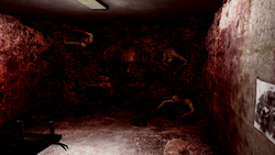 Blackbay Asylum (для ПК, цифровой код доступа)