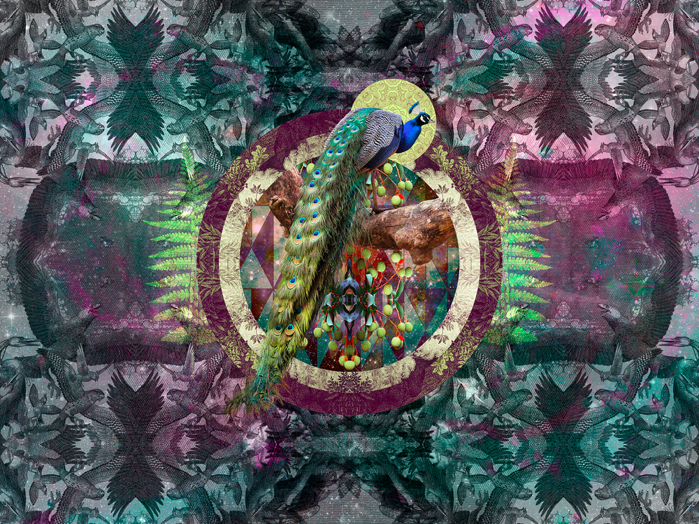 Коллекция GEOTROPICK