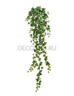 Английский плющ Олд Тэмпл зелёный в-135 см (303 листа) (Sensitive Botanic) 4/24 20.05170260N-M