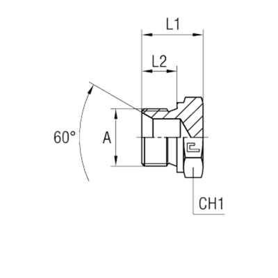 Заглушка V (Ш) BSP 1.1/2