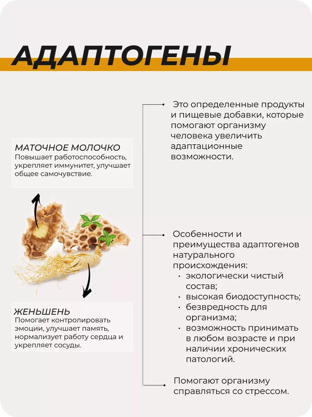 БАД Пауэр Плюс: адаптоген для иммунитета и энергии №30