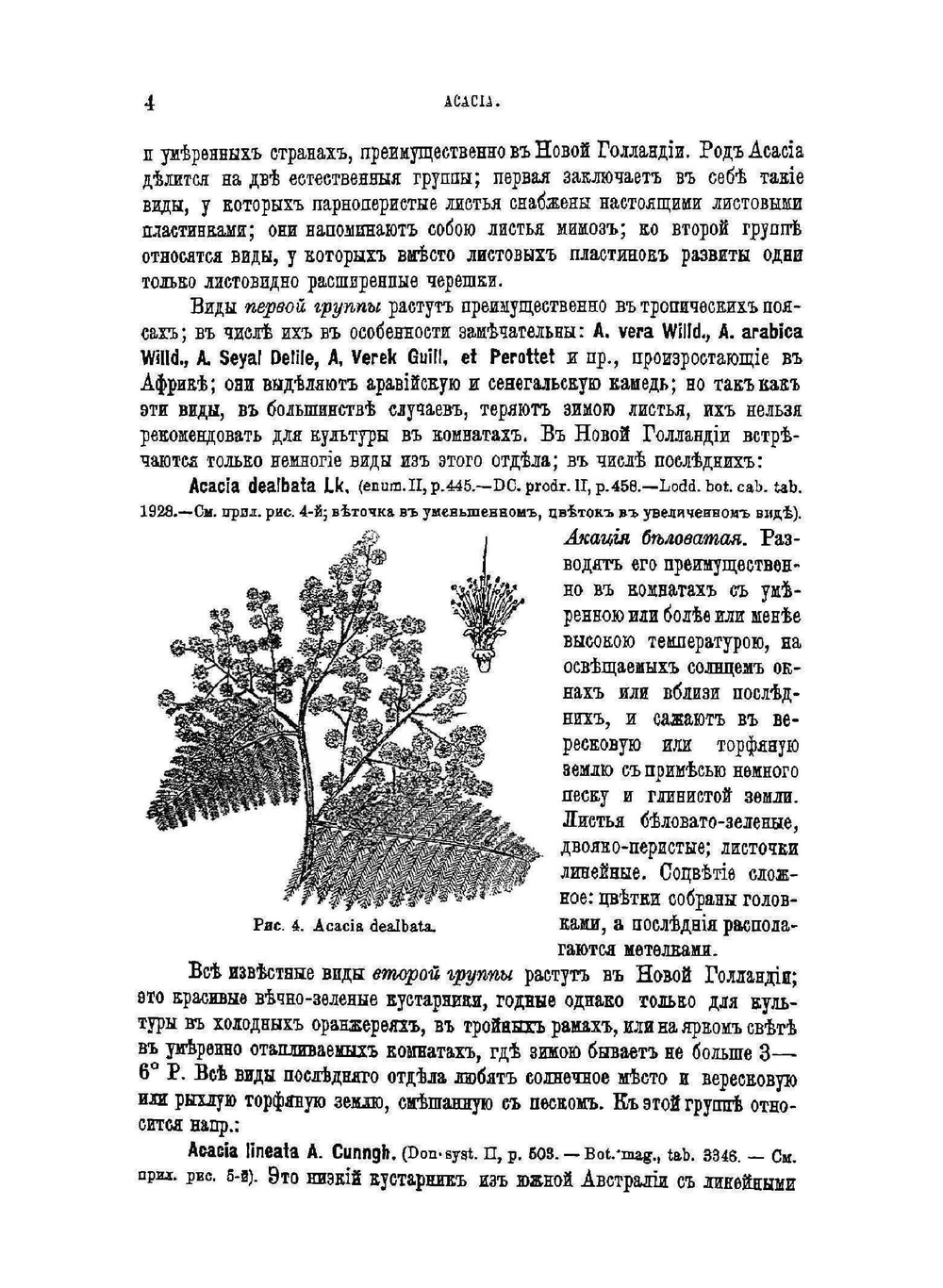 Содержание и воспитание растений в комнатах. Часть 2. Выпуск 1 | Э.Л. Регель