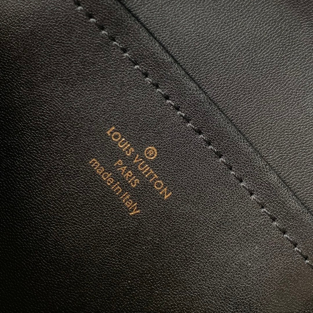 Louis Vuitton Speedy 20