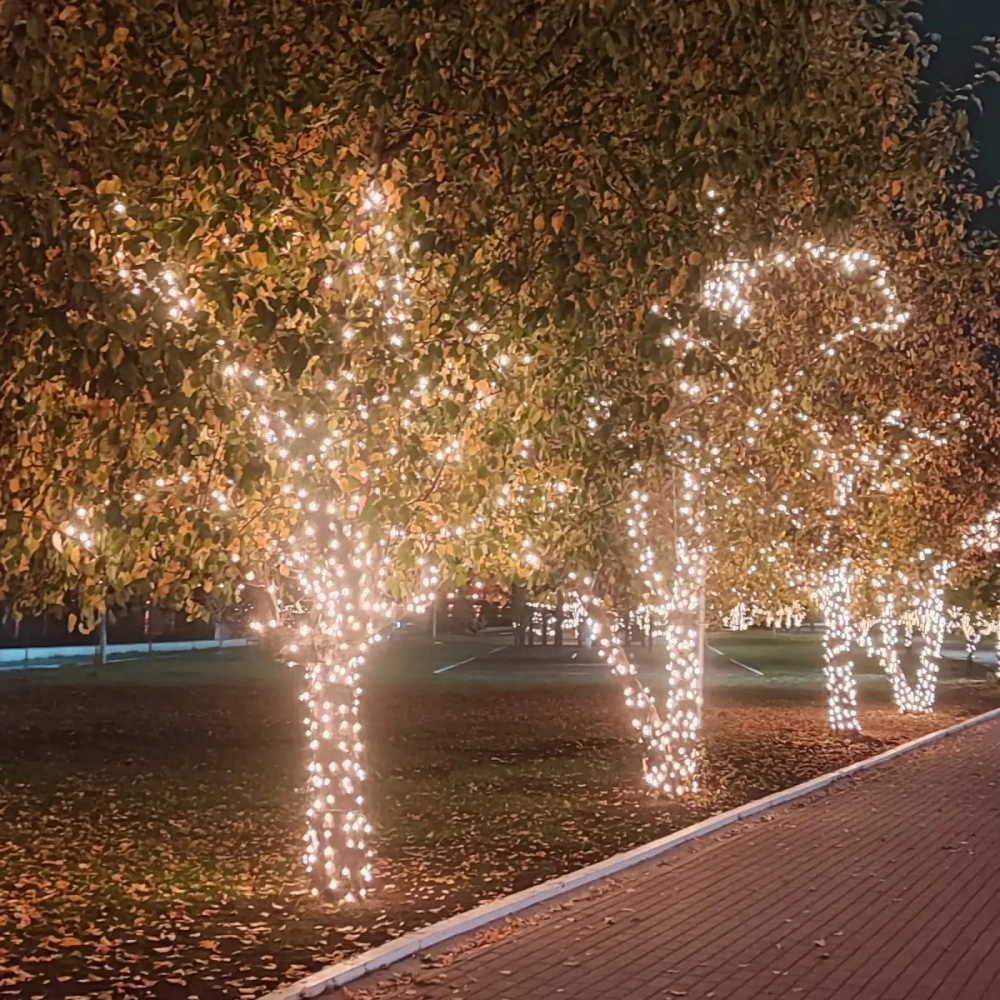 Гирлянда для улицы 11м 120 ламп LED чёрный провод, 8 реж, IP-54, Теплый белый (возможность соединения)