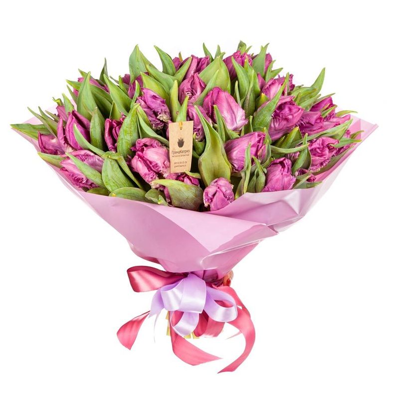 Букет фиолетовых пионовидных тюльпанов Parrot Prince