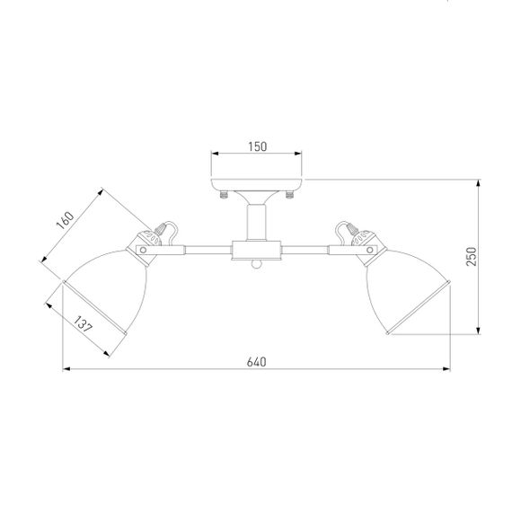 Потолочная люстра Eurosvet Denley 70112/5 черный