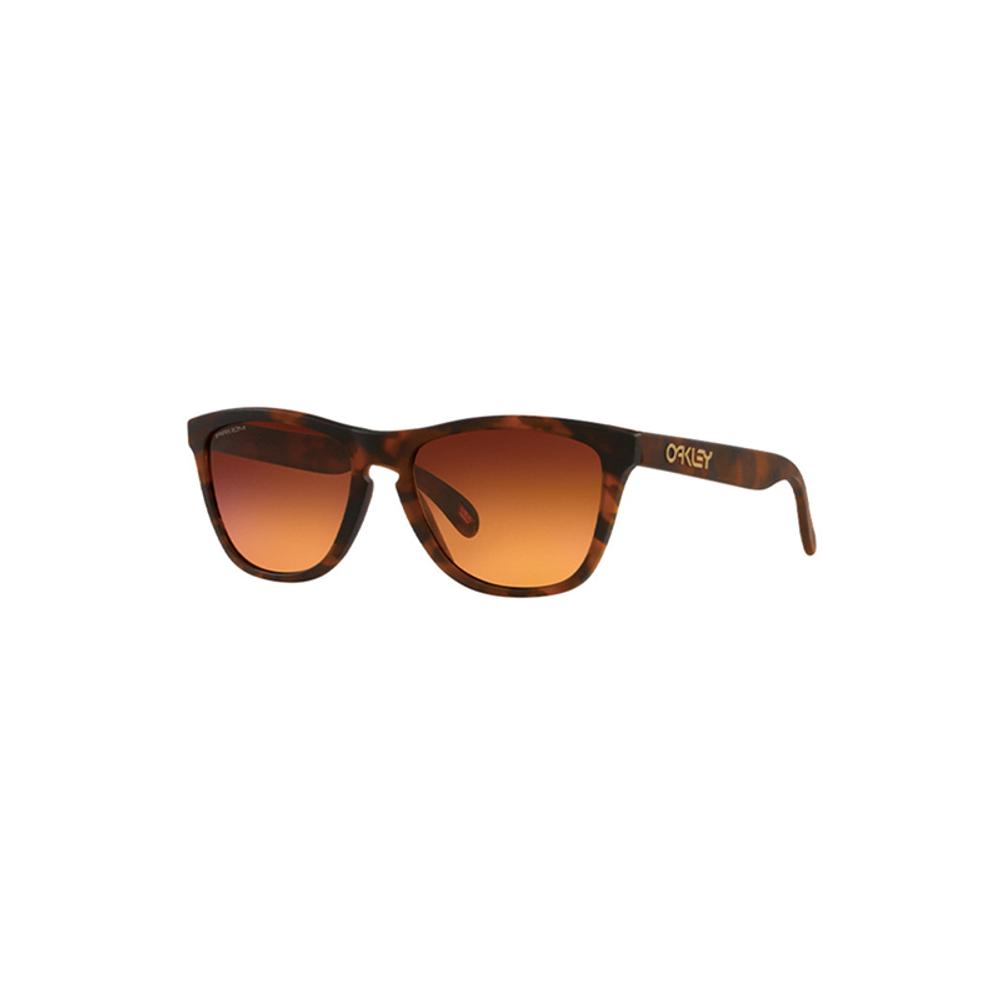 Oakley Frogskins Tinted Очки