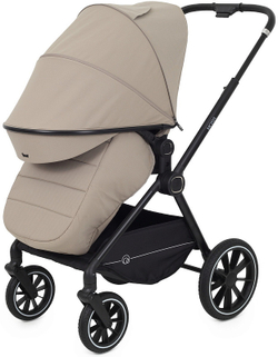 Детская коляска Rant Moss 2 в 1 Beige