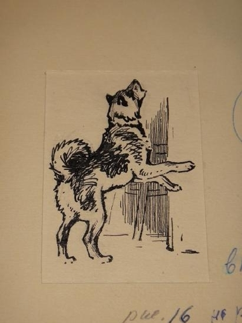 "Тринадцать оригинальных подлинных рисунков художников И.Година и В.Фролова. К книге Веры Чаплиной Орлик". 1954г.