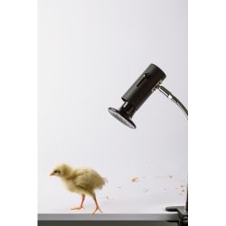 Светильник для рептилий на прищепке для ультрафиолетовой и инфракрасной лампы ЭРА FITO-E27-FLEX-CLIP 250 Вт