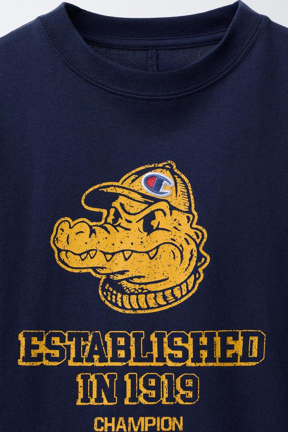 ZARA Х CHAMPION ® С ПРИНТОМ «КРОКОДИЛ», СИНИЙ