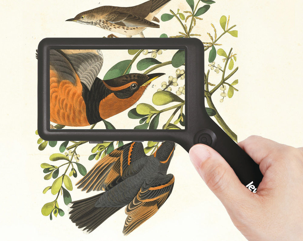 Лупа цифровая Levenhuk ERGO 40 PRO