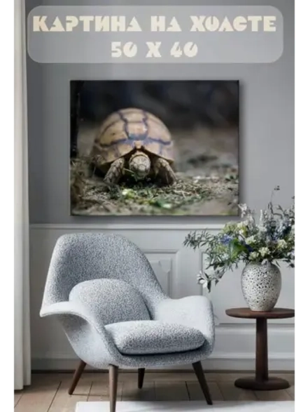 Картина на стену 40 X 50 Черепаха