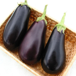 Баклажан Эпик F1 (50шт)  Витагрин Профи