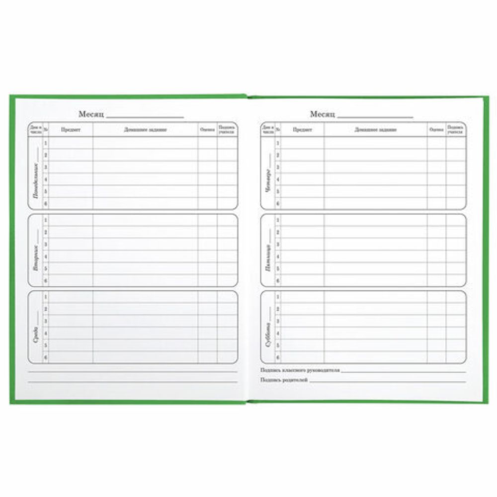 Дневник 1-4 класс 48 л., твердый, BRAUBERG, глянцевая ламинация, с подсказом, "Авокадики", 106359