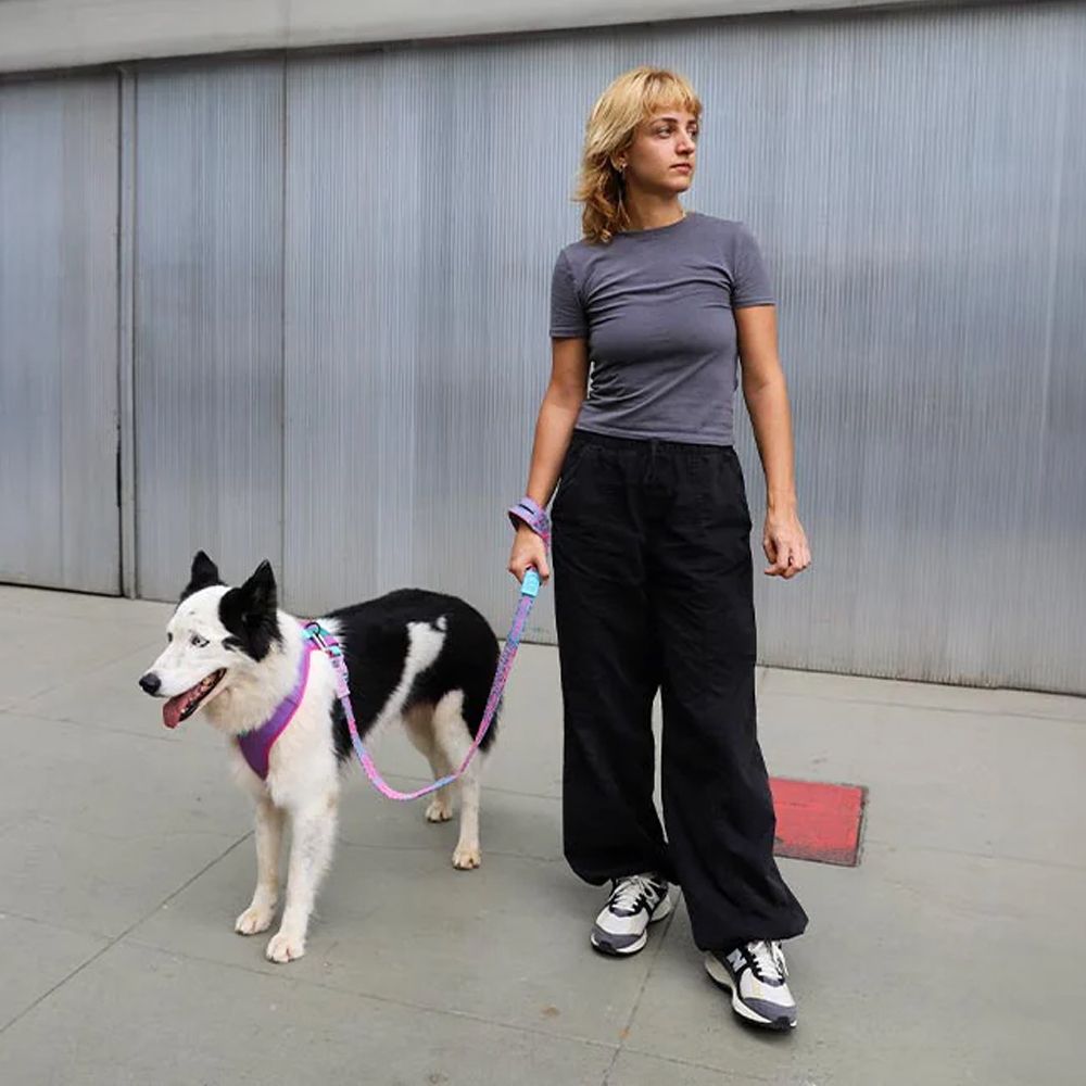 Ультра-легкий поводок Nit CANDY 100 см Zee.Dog