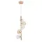 Подвесной светильник Arte Lamp ETEREO A5261SP-5GO