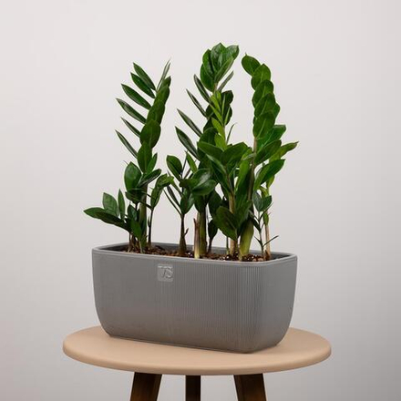 Балконный ящик Фабио VipSet 9,5л серый с дренажной системой Сантино