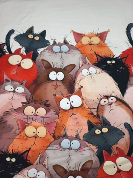 Кулирка Купон Пучеглазые Котики