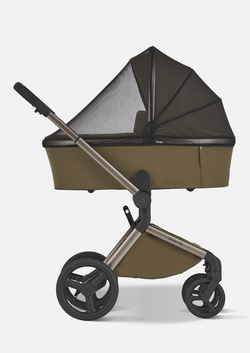 Anex Детская коляска Flo 2 в 1 Astra