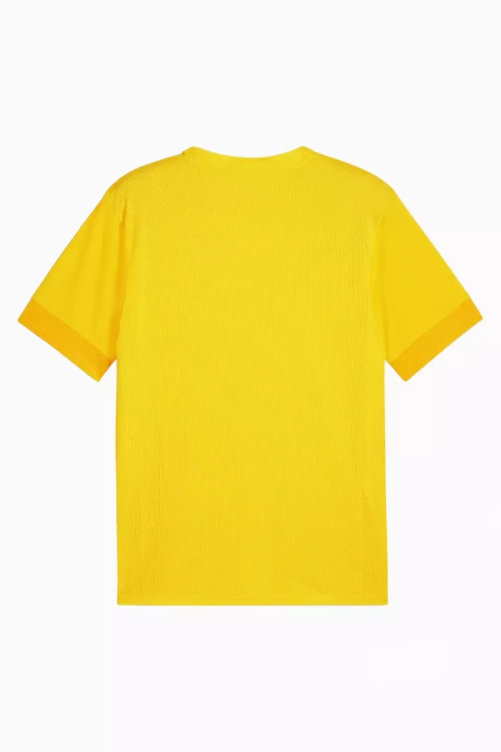 Футболка Puma teamGOAL Matchday