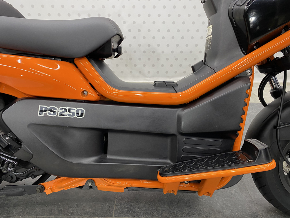 Honda PS250 Big Ruckus , 2006