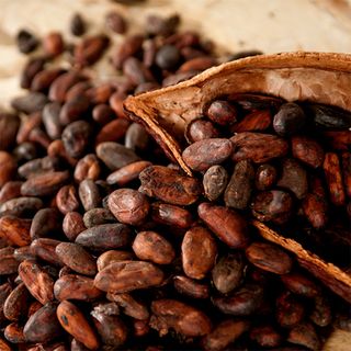 Какао натуральное масло (цена за 1 кг)