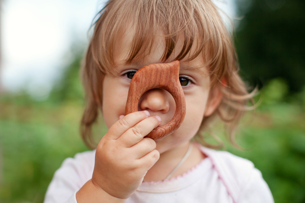 Деревянный грызунок Птичка Леснушки