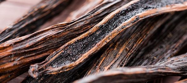 8 УДИВИТЕЛЬНЫХ ФАКТОВ О ВАНИЛИ