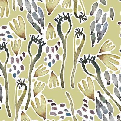 присмотрись к природе вокруг