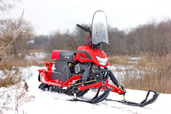 Снегоход IRBIS DINGO T150