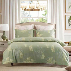 Постельное белье СайлиД B-216 сатин