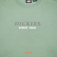  Толстовка мужская Dickies Park Sweatshirt  артикул:DK0A4YEIH151 - купить в магазине Дайс