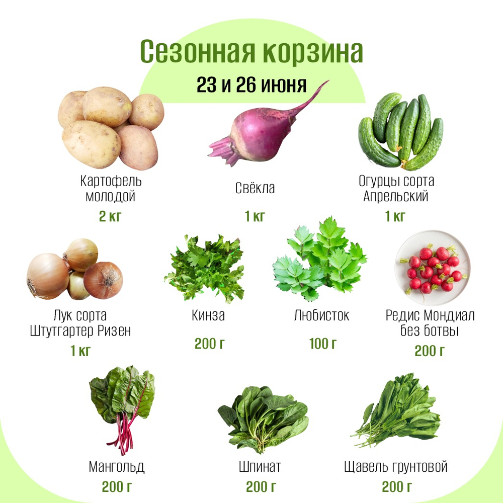 Сезонная корзина