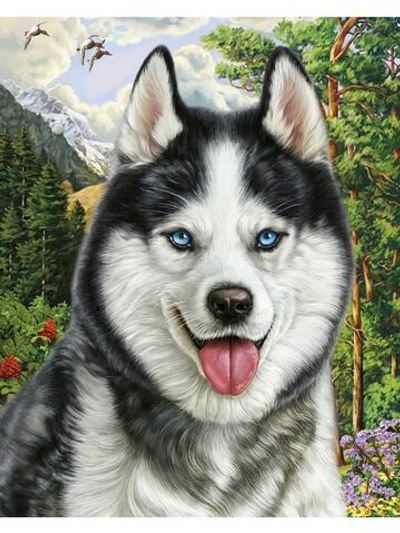 Картина по номерам 40х50см "Хаски в горах" (Арт. ХК-6875)