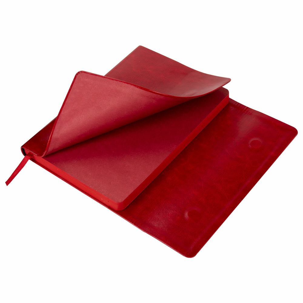 Ежедневник недатированный А5 BRAUBERG "Magnetic X" (113281) 4