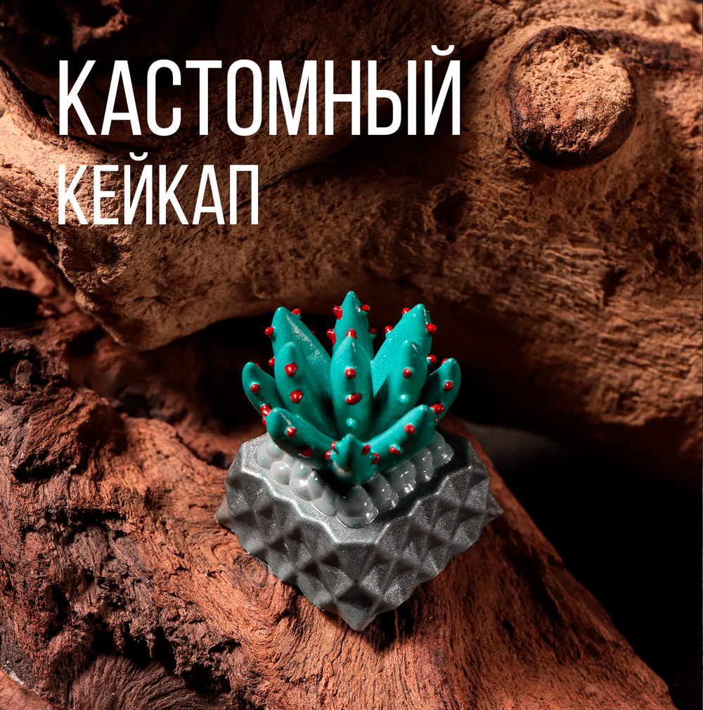 Кастомный кейкап "Суккулент игольчатый"