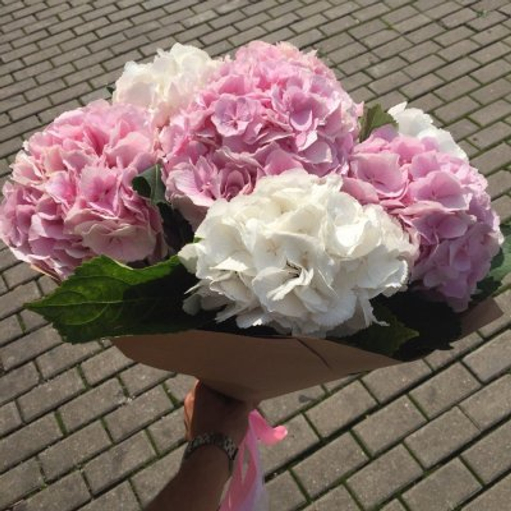 Букет из 5 гортензий
