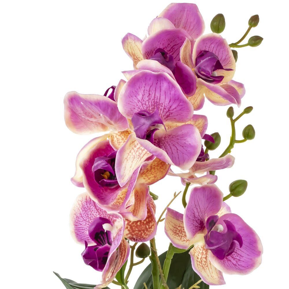 GAEM Цветочная композиция "Орхидея", L16 W16 H45 см