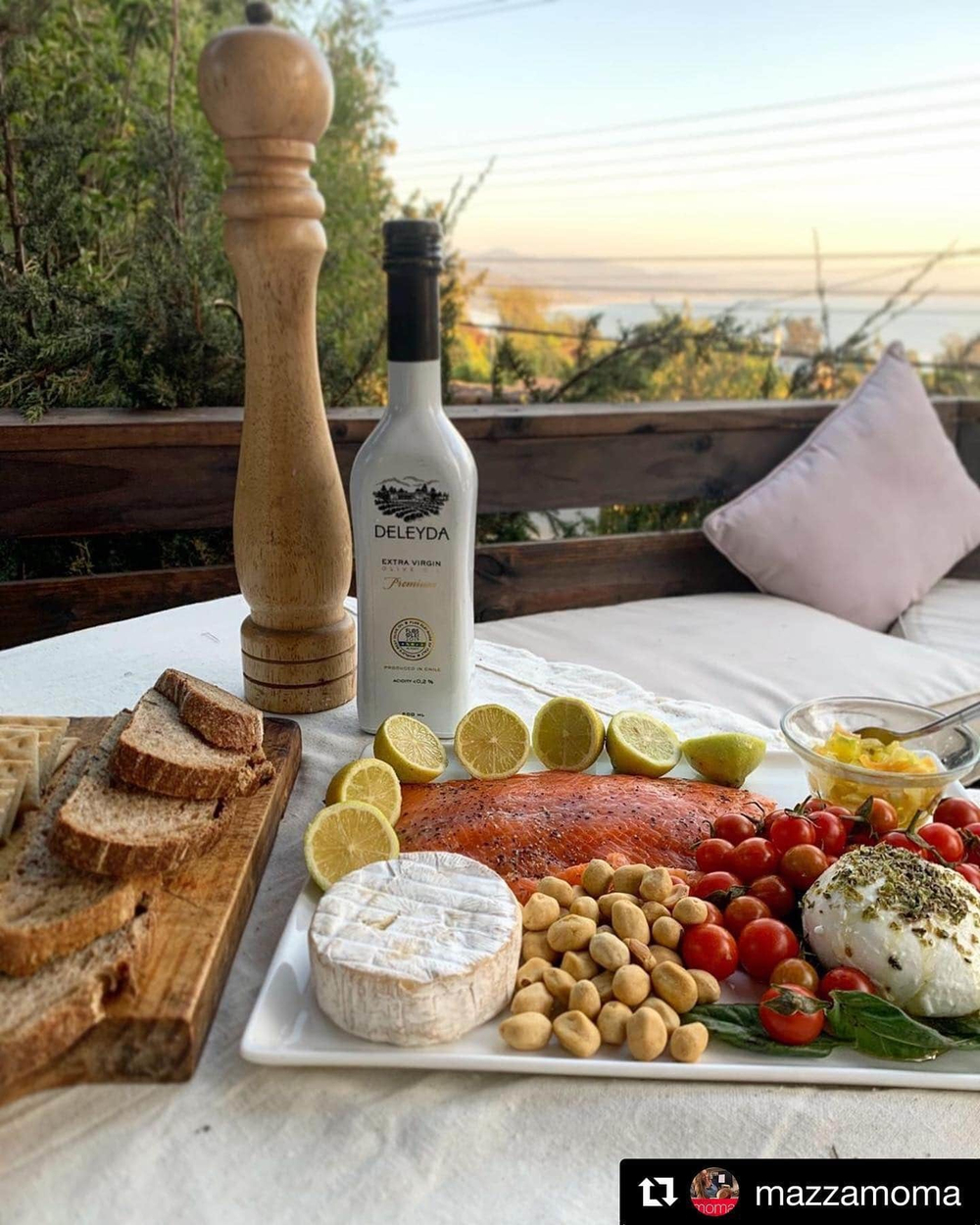 Оливковое масло DELEYDA PREMIUM, Чили