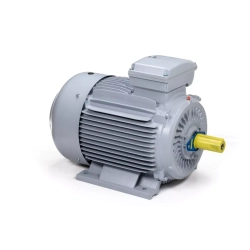 Электродвигатель ESQ PR 225 M4-SDN-Б1-S12-IE3 45/1500 IMB3