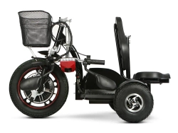 Электротрицикл TRION Zappy GO