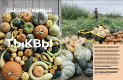 Цветоводство ОСЕНЬ 2023
