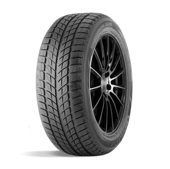 Зимняя шина DoubleStar DW09 (275/40 R20 106V)
