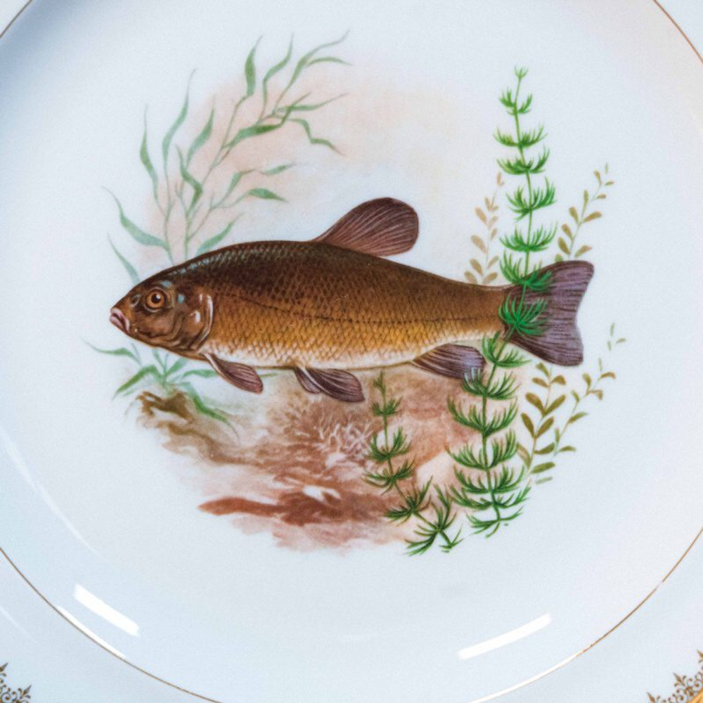 Столовый сервиз на 12 персон