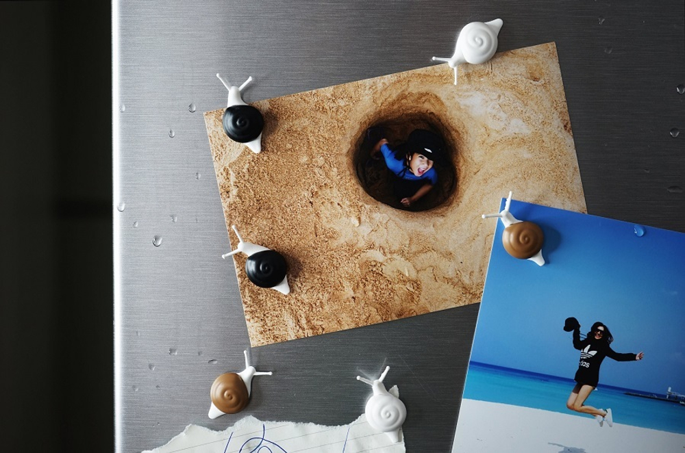 Магниты Snail, 6 шт. Qualy