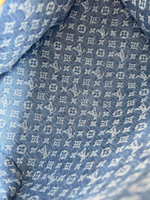Louis Vuitton Speedy Soft 30