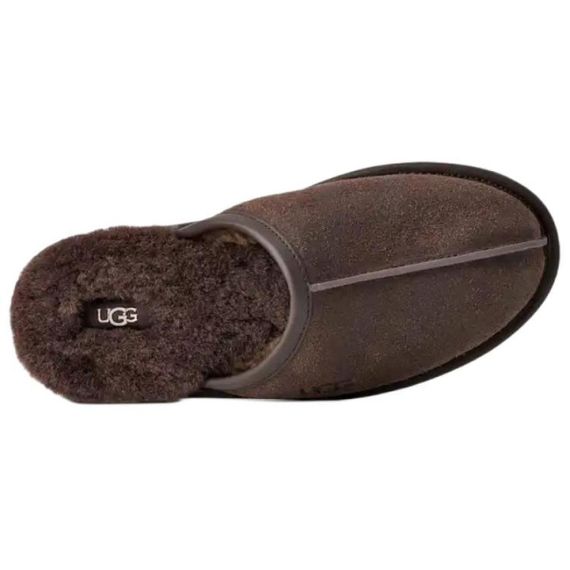 Ugg Scuff 'Deep Brown'