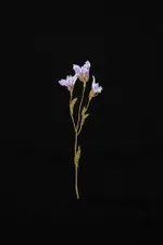 Футболка Гербарий Колокольчик черная