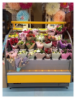 Горка холодильная Lida Stella Flora mini (1000х970х1800 мм)